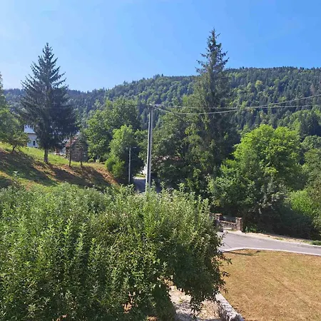 Oaza Zeleni Vir Willa *