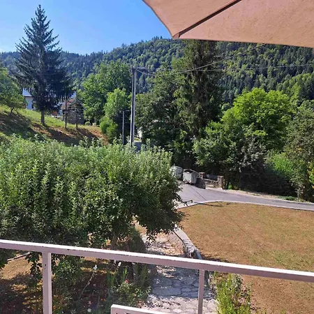 Willa Oaza Zeleni Vir