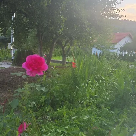Oaza Zeleni Vir Villa Olovo (Zenica-Doboj)