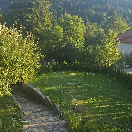 Oaza Zeleni Vir Villa *