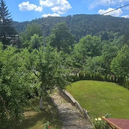 Oaza Zeleni Vir Villa Olovo (Zenica-Doboj)