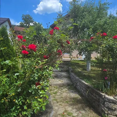 Oaza Zeleni Vir Villa